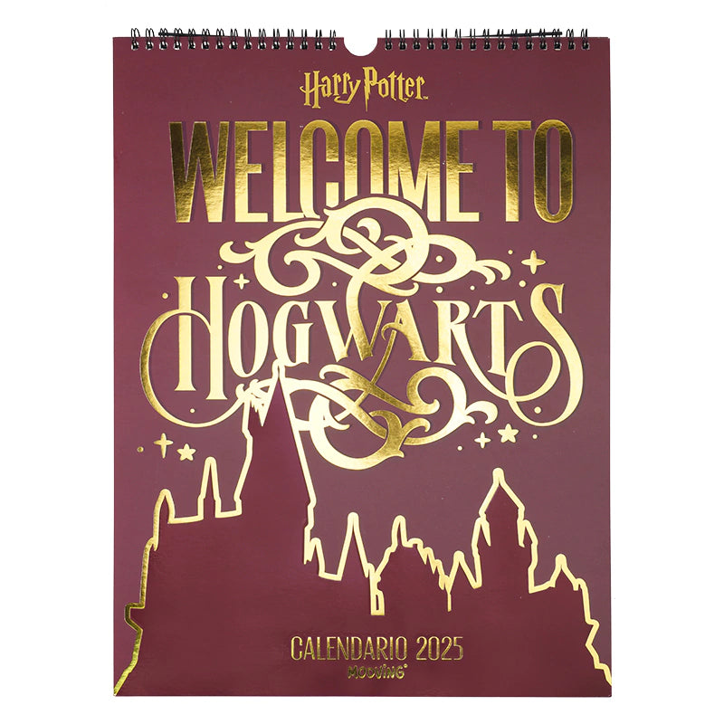 Calendario Harry Potter 2025 - PREVENTA 1