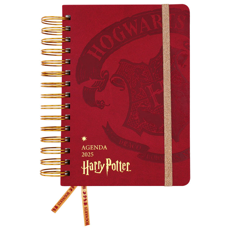 Agenda 2025 Harry Potter - PREVENTA 3