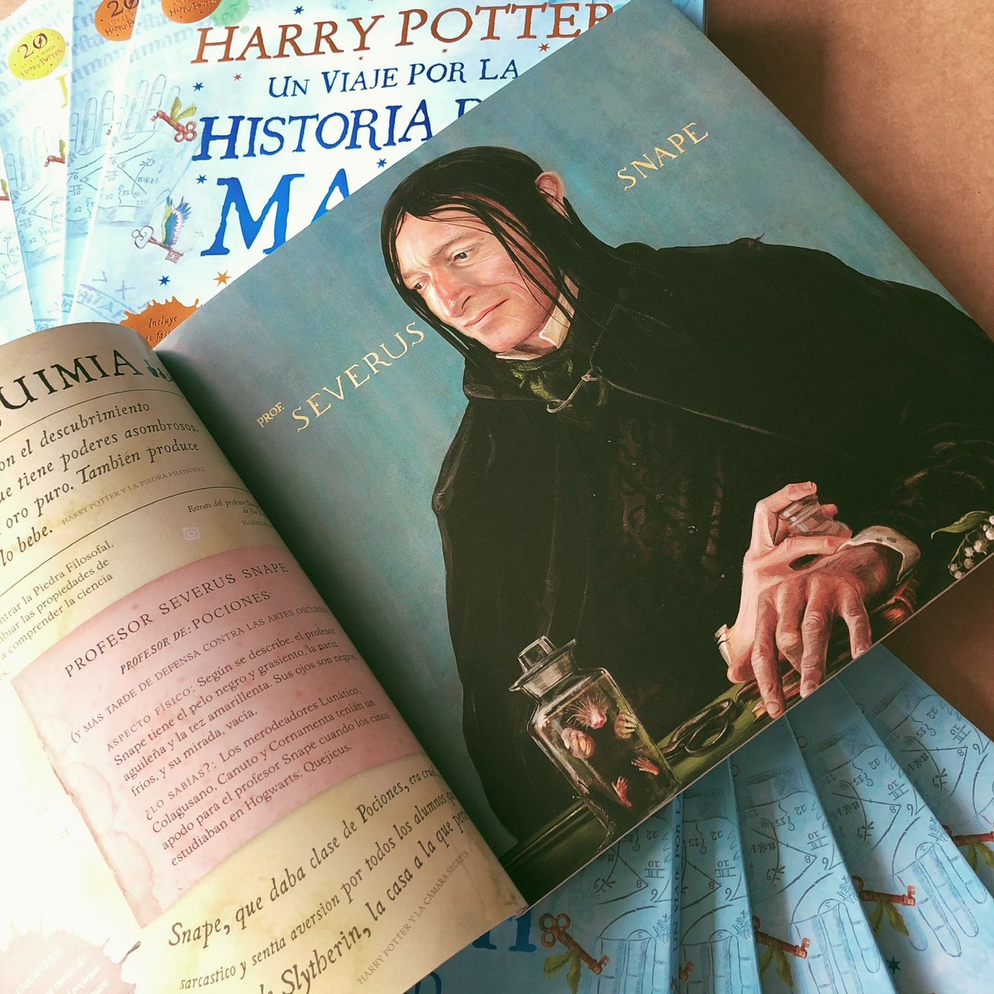 Harry Potter: Un Viaje por la Historia de la Magia